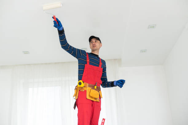 Best Mold Odor Removal Services  in Ovilla, TX