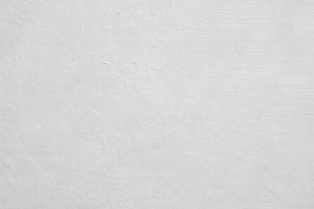 Trusted Ovilla, TX Mold Removal Experts