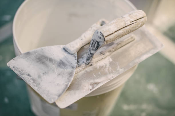 Best Basement Mold Removal  in Ovilla, TX